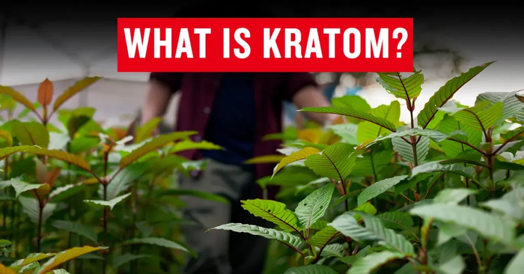 what is kratom